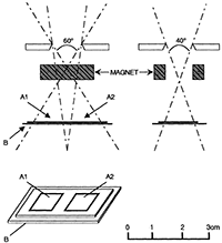 LION telescope 2 schematics